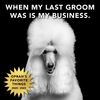 PRIDE+GROOM Dry Shampoo for Pets Dogs