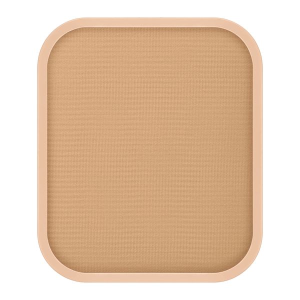 est BE301 Illuminating Powder Foundation
