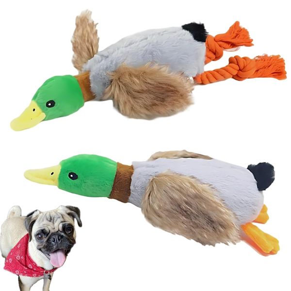 2-Pack Plush Duck Dog Toys with Squeakers, Crinkle Wings for Small Medium Dogs, Interactive Dog Toy, Durable Dog Toys to Keep Them Busy, Dog Chew Toy for Aggressive Chewers