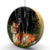 Waterfall Tiger Hardwood Oak Fan/Light Pull