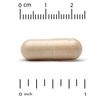 Ginkgo PS Phytosome, 480 mg, 60 Veggie Capsules