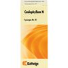 Synergon Komplex 81 Caulophyllum N Tropf., 50 ml TRO