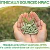 XPRS Nutra Size 1 Empty Capsules - 1000 Count Empty Vegan Capsules - Vegetarian Empty Pill Capsules- DIY Vegetable Capsule Filling- Veggie Pill Capsules Empty Caps (Aqua)