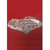 Golden Hinde Jaguar Goldwork Embroidery Kit (Silver) - Intermediate
