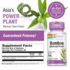 Solaray Bamboo Stem Extract 300mg | 60 VegCaps