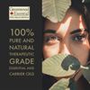 Greenwood Essential 7 Chakra Natural Essential Oils Kit, 8ml(0.27) (Each)