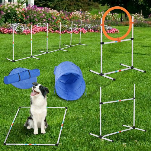 PawHut Portable Outdoor Pet Agility Kit Backyard Starter Course High Jump Hurdle