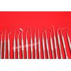 New 17 EA Assorted Dental Scaler PROBE CURETTE Pick Tools Set Dental instruments