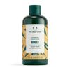 The Body Shop Ginger Anti Dandruff Shampoo (250ml)