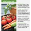 Rapitest PH Soil Tester 1612 Rapitest - Garden & Greenhuse Plants