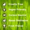 Fennel (Sweet) Essential Aromatherapy Oil 30ml