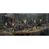 Games Workshop - Warhammer 40,000 - Drukhari Incubi