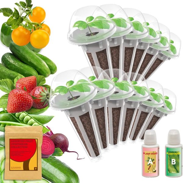 Assorted Fruit & Vegetables Mix Seed Kit for AeroGarden, idoo, Ahopegarden, and inbloom 10 Pods Hydroponics, 12-Pod Seed kit(350+ Seeds Included Strawberry, Cherry Tomato,Pepper, Cucumbe and so on)