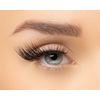 Invogue Lash - Birthday Glam