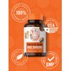 Mushroom Complex Capsules | 1650mg | 120 Count | Vegetarian | by Carlyle