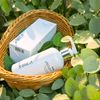 Puremer Reset Green Tea Cleanser, Facial Cleansing Gel, Hand Soap, Morning Facial Cleanser, Gel Cleanser, Weakly Acid, Body Wash, Hand Wash, Organic, Korean Skin Care, Doctor's Cosmetics, Green Tea Catechin, Amino Acids, Vitamin B, Vitamin C, Dry, Wrinkle