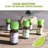 Healing Solutions Organic 30ml Oils - Tea Tree Essential Oil - 1 Fluid Ounce