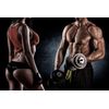 Amino acids ornithine - MAXAMINO PLUS 1200 2B- Increase endurance