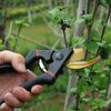 Pruning Shears, Gardening Scissors, Pruning Scissors, 2 Adjustable Levels