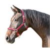 Kerbl Mustang Head Collar - Red/Black, Size 2