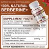 2×Berberine Plus CEYLON CINNAMON Extract1200mg Heart Brain Immune Support Weight