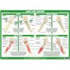 Joint Anatomy Chart Series (A2 Laminated, Hand & Lower Arm)