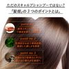 Hair Field Shampoo (Trial 7 Day Set)