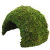Hobby 34600 Jungle Cave 1, 74 g