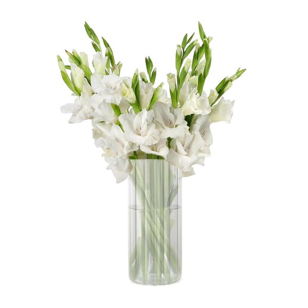 Annhua Flower Base, Stylish, Glass Vase, Scandinavian Glass Base, Glass Vase, Simple, Single Vase, Decorative Vase, Easy to Change Water, Flower Arrangement, Home Decoration, Present, Clear, Cylindrical, Diameter 3.5 inches (9 cm), Height 7.9 inches (20 c