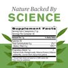 Nature's Sunshine Psyllium Hulls Combination 11 Oz