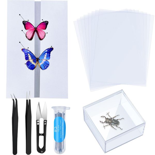 14 Pieces Insect Specimen Tools Kit Insect Display Case Box with Clear Top 8 Sheets Thin Tracing Paper Butterfly Mounting EVA Foam Pinning Board Pins 3 Pcs Insect Specimen Tools for Bugs Collection