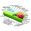 1 Boxes Superlife STC30 Supplement Stemcell Activator Vitamins 15 Sachet/Box