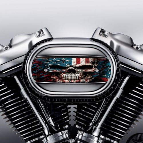 Kustom Cycle Parts Skull American Flag Air Cleaner Cover Insert. Replaces Stock Ventilator Harley Davidson M8 / 114 Insert.