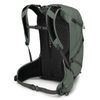 Osprey Sportlite 25L Unisex Hiking Backpack, Pine Leaf Green, M/L