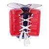 TKD Korean Style Training WT S Combat Vest