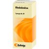 Synergon Komplex 89 Rhododendron Tropf., 50 ml TRO