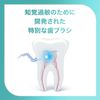 Shumitect True White Toothbrush, Hypersensitivity Care, Regular (Normal) x 1