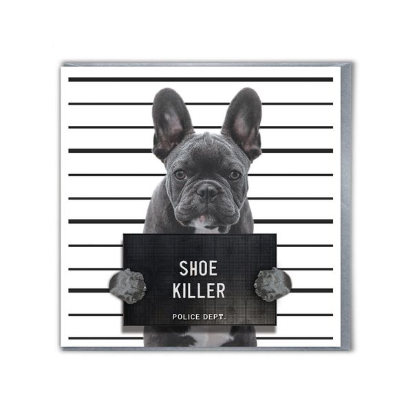 Funny Birthday Card French Bulldog Owners Cute Pet Hilarious Shoe Killer Joke