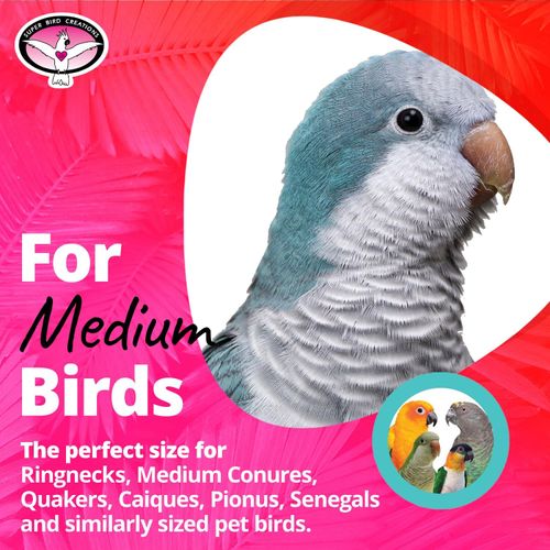 Super Bird Creations SB518 12 by 5-Inch Crunch and Munch Bird Toy - Ideal for Parrots - Medium