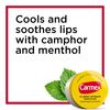 Carmex Medicated Lip Balm Jars, Lip Moisturizer for Dry, Chapped Lips, 0.25 OZ - 3 Count (2 pack)