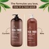 Botanic Hearth Tea Tree Liquid Hand Soap - Sulfate Free Formula - Multi Purpose Hand Wash with Aloe Vera and Therapeutic Grade Tea Tree Oil, Pump Dispenser - 16 fl oz