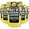 Explicit Essentials Lemon Verbena Epsom Bath Salts, 12 oz