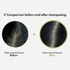 LA'DOR TripleX 3 Deep Cleansing Shampoo for Dry Itchy Sensitive Scalp Dandruff Naturally-derived Ingredients Tea Tree Lemon Lavender Sulfate-free Korean Hair Care