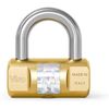 Viro 102 Cylinder Padlock, Brass, 50 mm