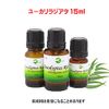 Essential Oils Stain Permeable Herbal Scent Eucalyptus Radiator 0.5 fl oz (15 ml)