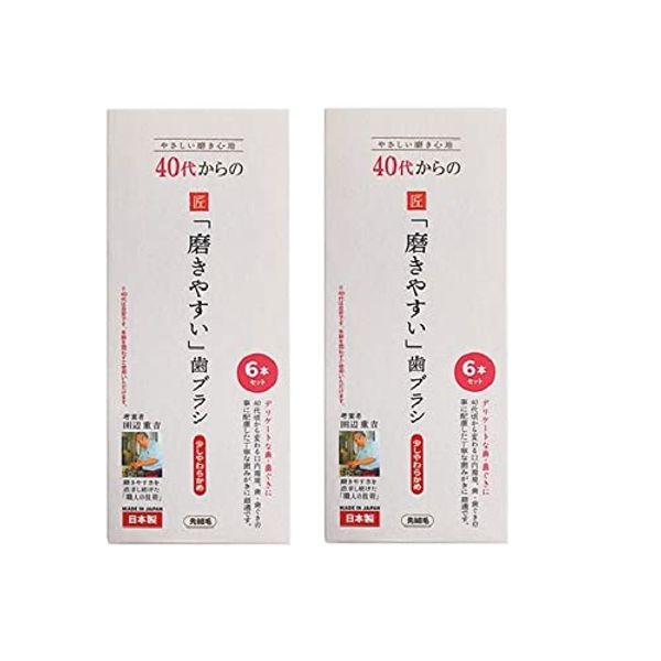 [Value Set of 2] LT-59 Toothbrush Craftsman Invented by Shigeyoshi Tanabe, "Easy to Polish" Toothbrush, Fine Bristles (Slightly Soft), Set of 6 x 2