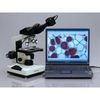 AmScope 40X-2000X Medical Lab Vet Compound Biological Microscope