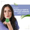 LIP CARE VASELINE Lip Therapy Aloe 20gm