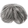 Priscilla GB-23-TGH Men's 5/4 Wig, Volume Short