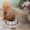 Wrendale Designs Dog Bowl